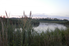 Town of Frederica Scenic Photo